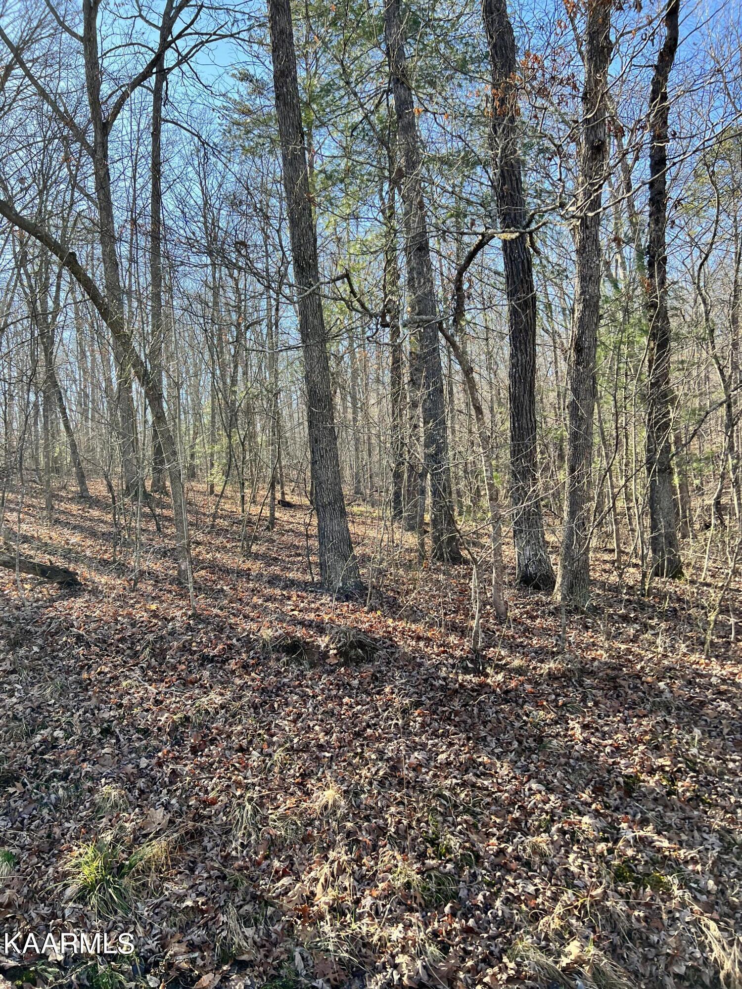 Image 1: 128 Hunterwood Lane
