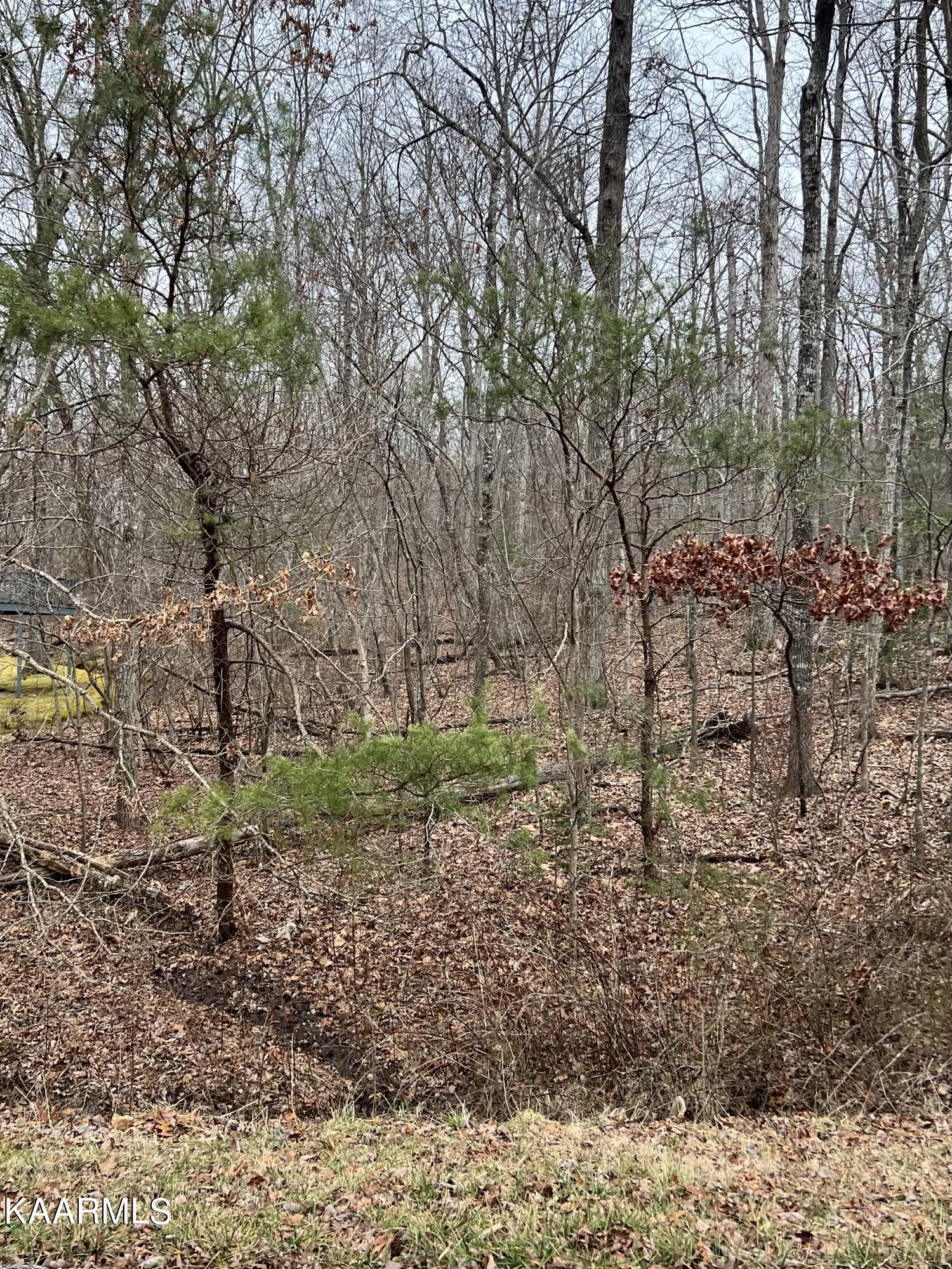 Image 1: 178 Meadowview Drive