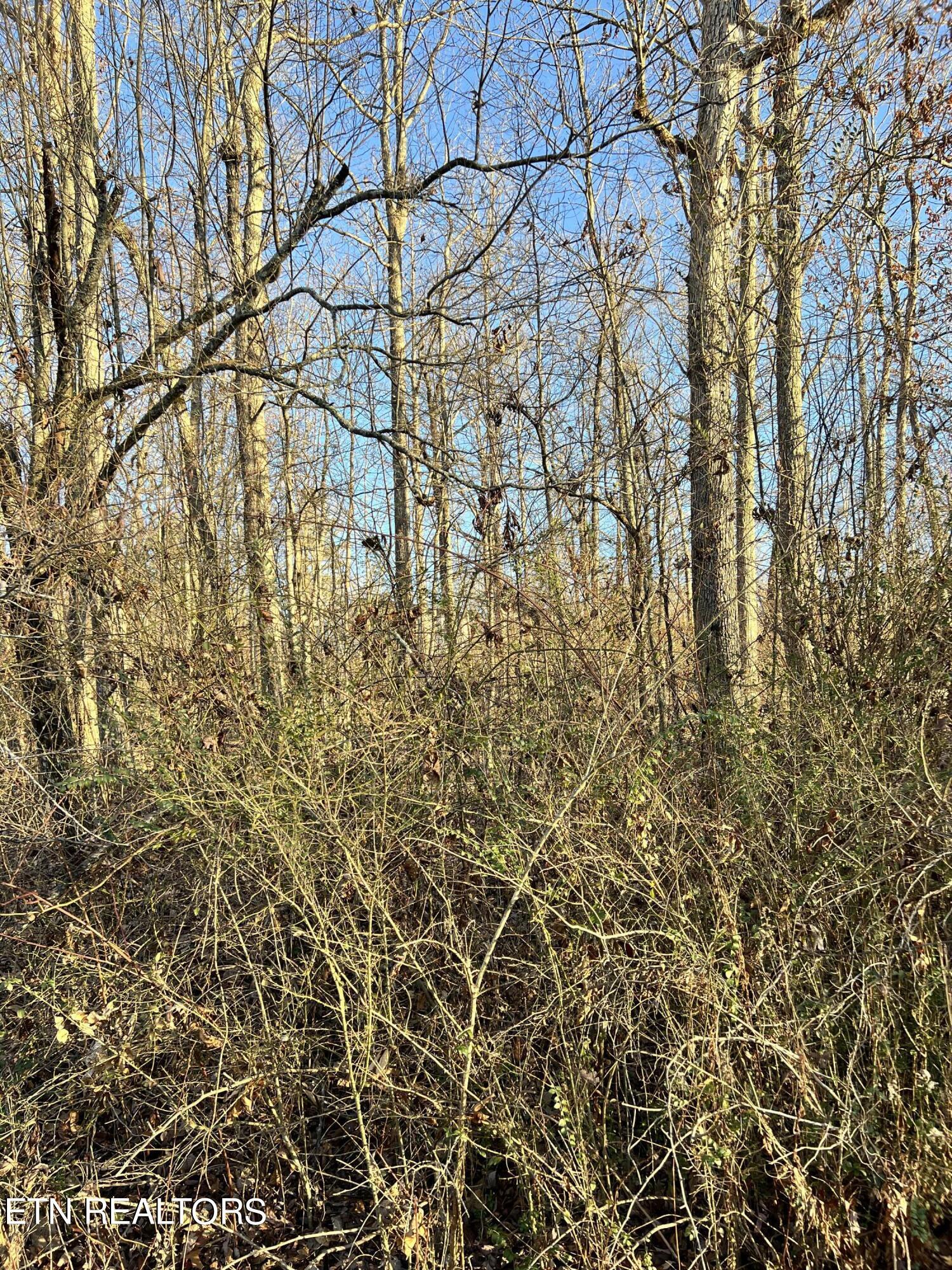 Image 1: 154 Lakeshire Drive