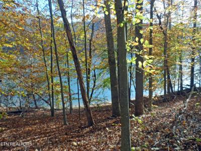 Lot 348 Lick Branch Rd