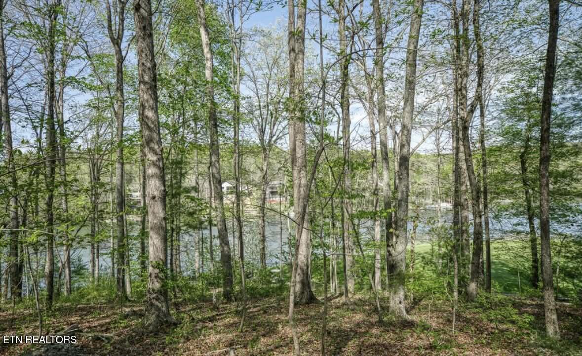 Image 4: 4b05c57a-49b4-48b4-9b40-12458a8d48e5