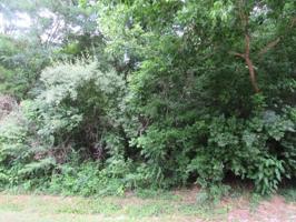220 Chatuga Way 10