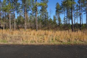 Lot 35r-2 Quail Run Drive