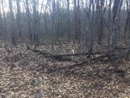 2027 Pahokee Lane #114