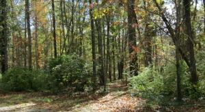 5262 Pawnee Rd