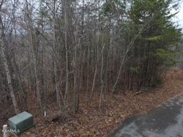 Lot 49A Cody Lane