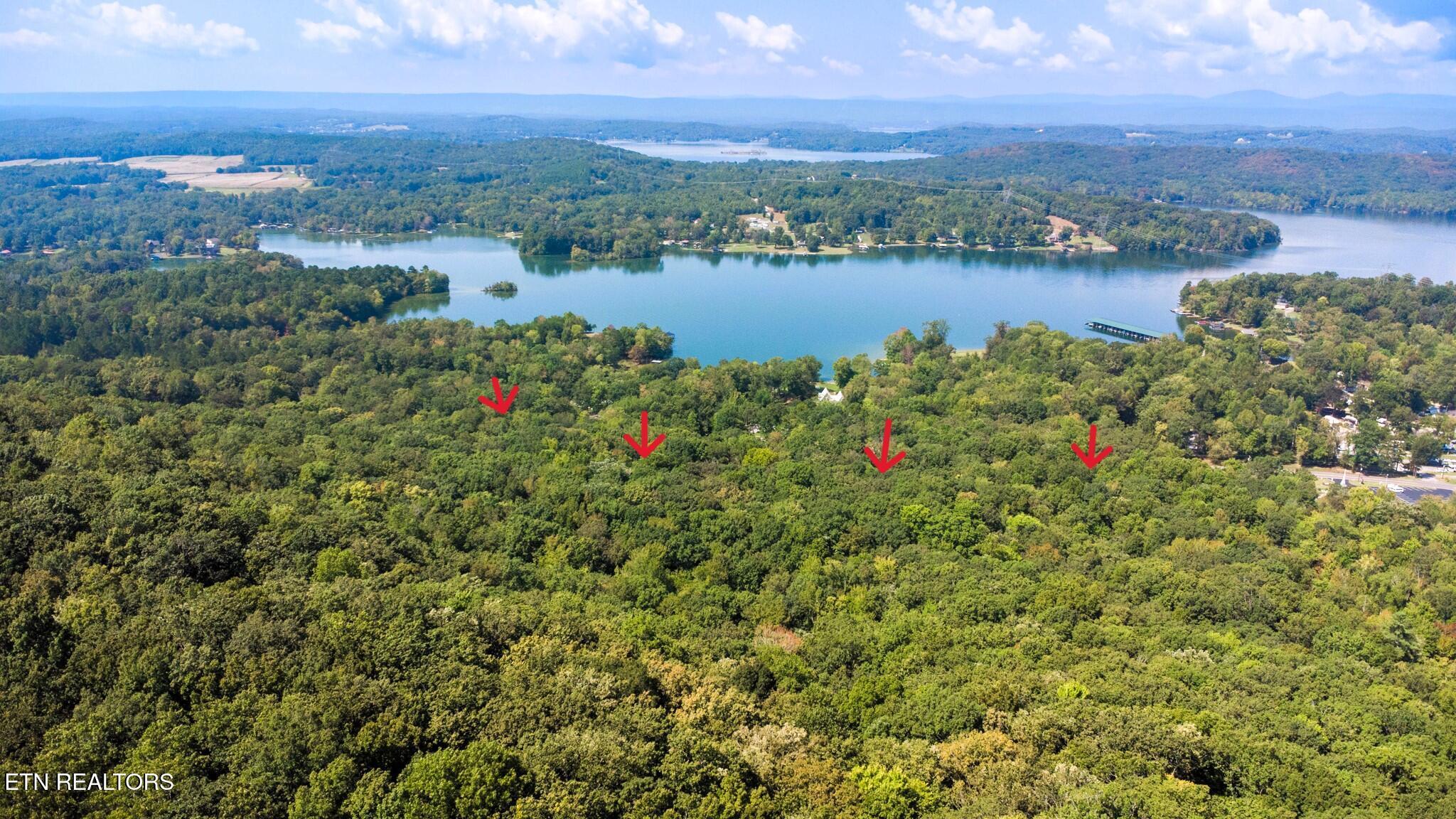 Image 2: Lake 1-11 Lakeview Hills
