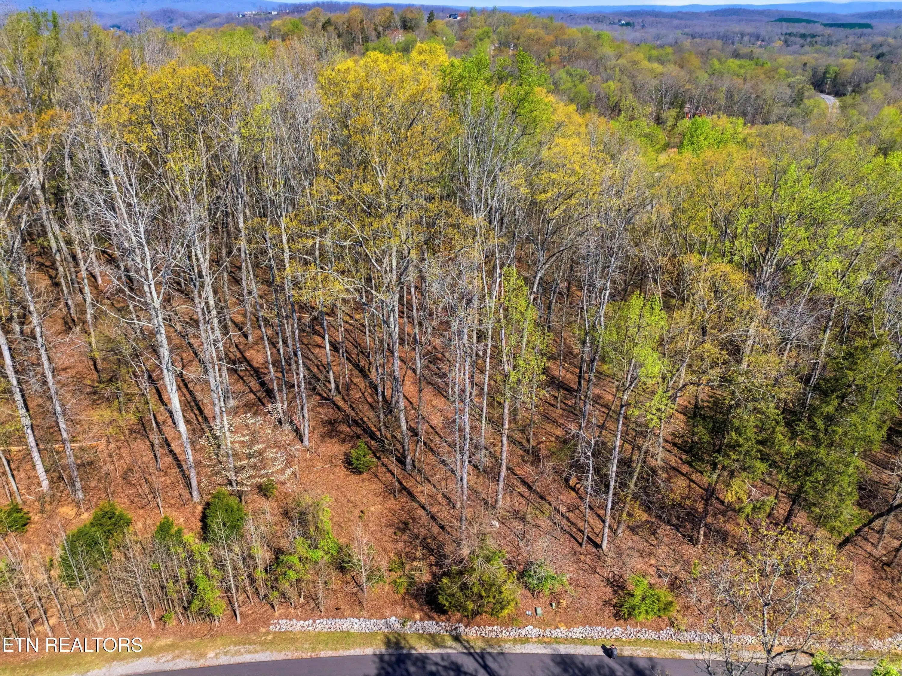 Image 1: DJI_20260325232953_0789_D