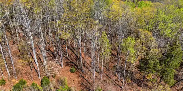 Lot 141 E Shore Drive