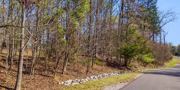 Image 2: DJI_20260325233129_0804_D