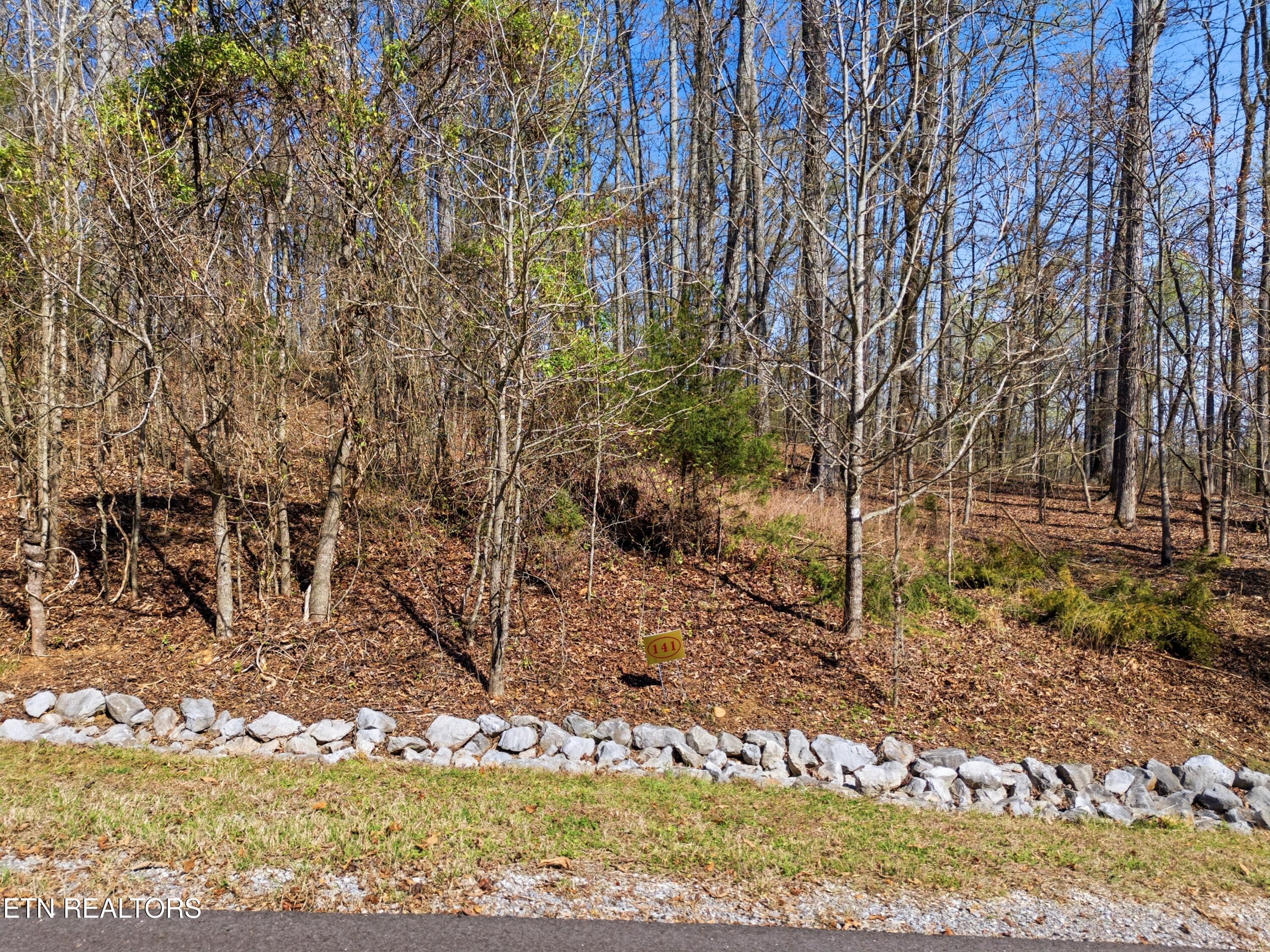 Image 3: DJI_20260325233107_0799_D