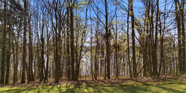 Image 4: DJI_20260325233325_0829_D-text