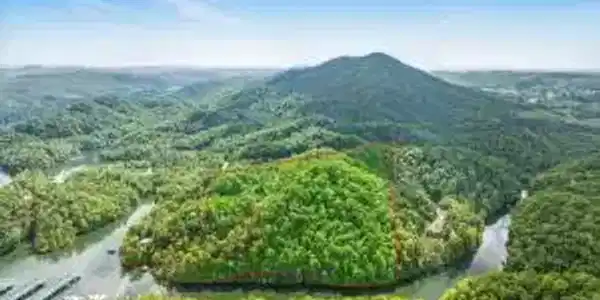 Tr3 Mountain Shores Rd