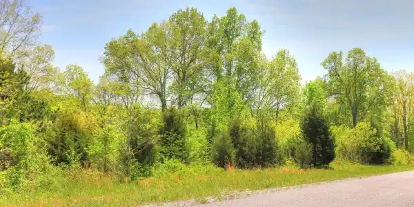 Lot 173 Saddleridge Drive