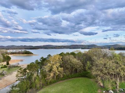 110 Tumbleweed Trail Tr