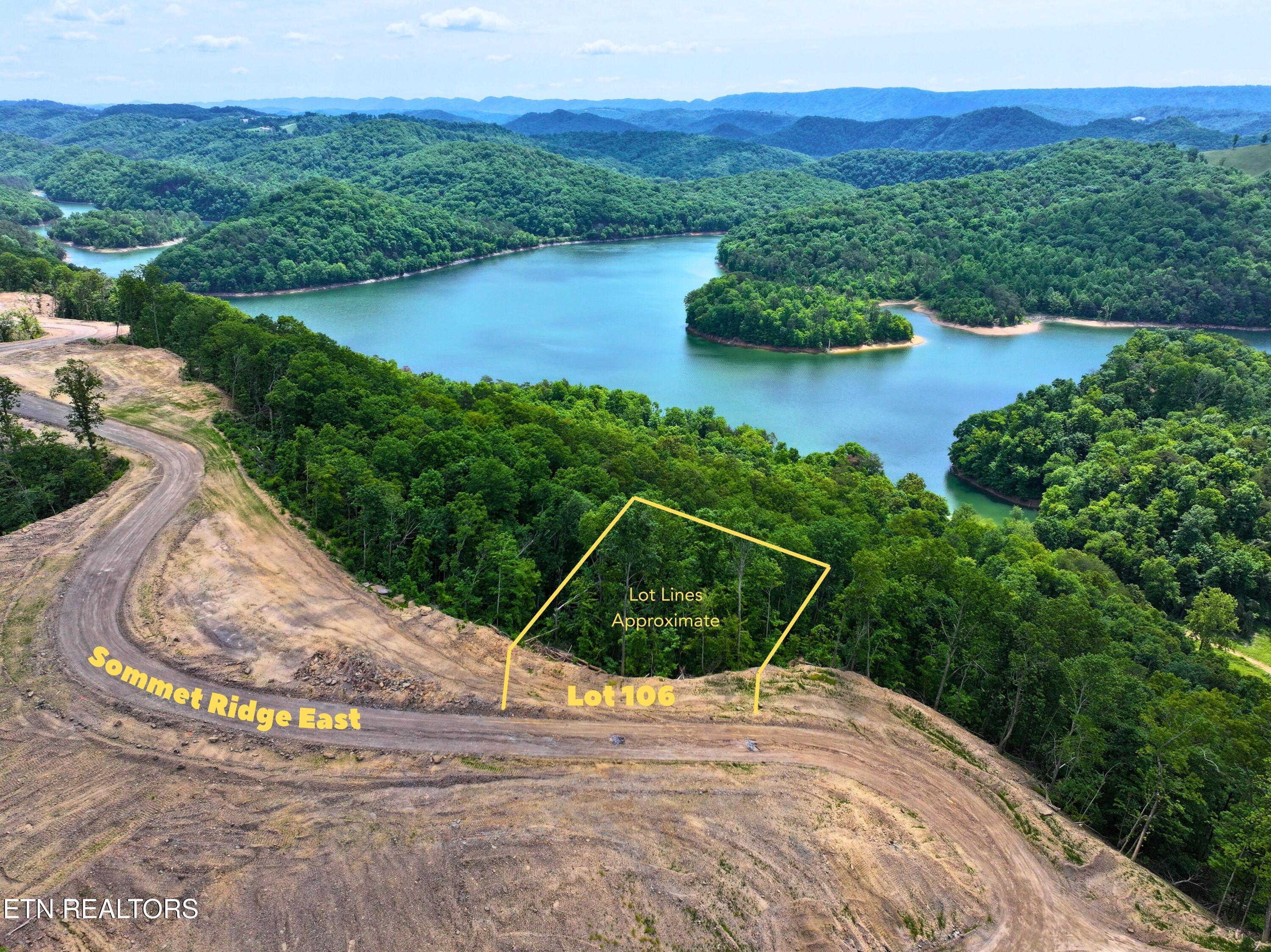 Image 4: LOT 106