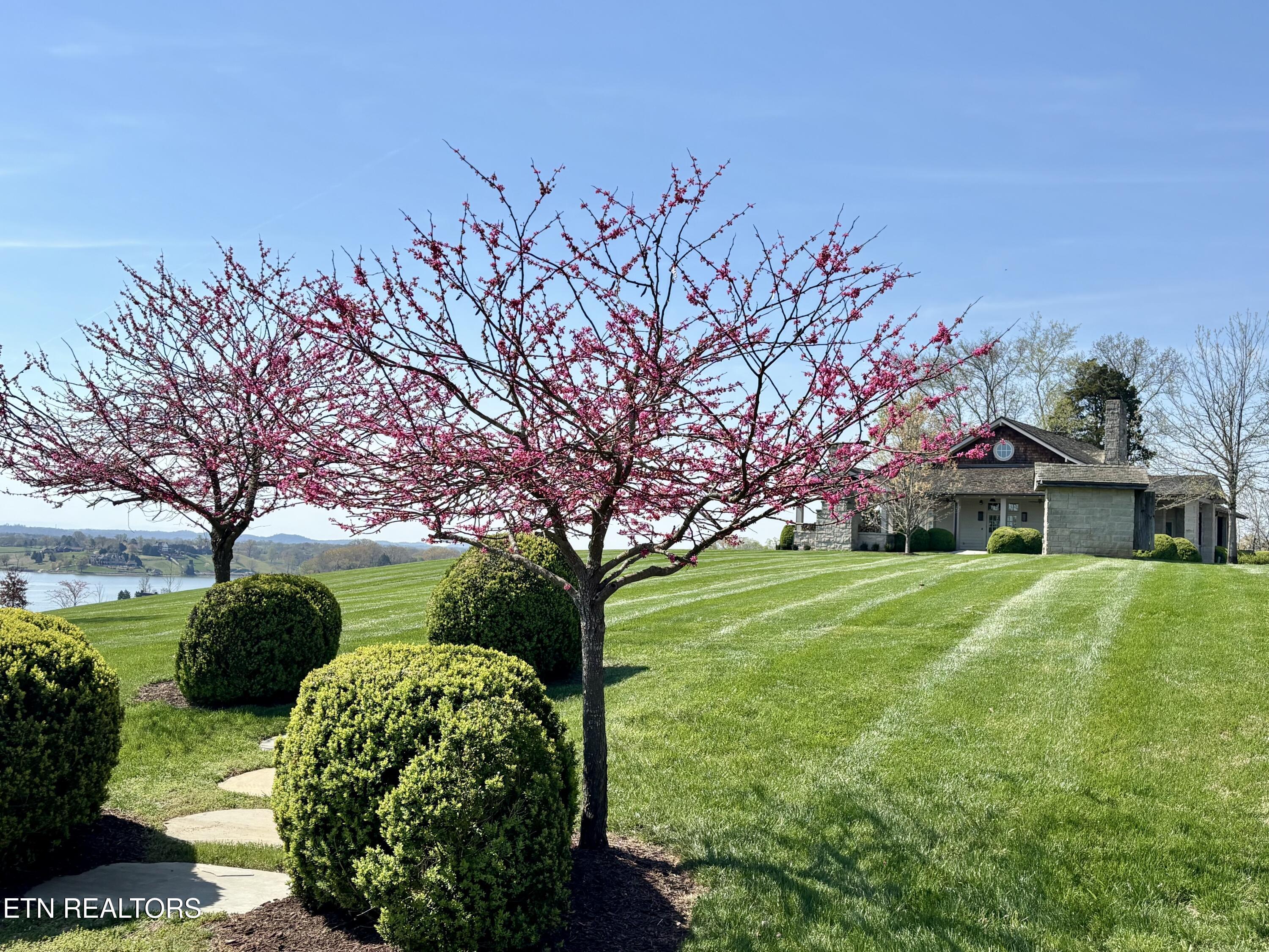 Image 3: Hill House spring