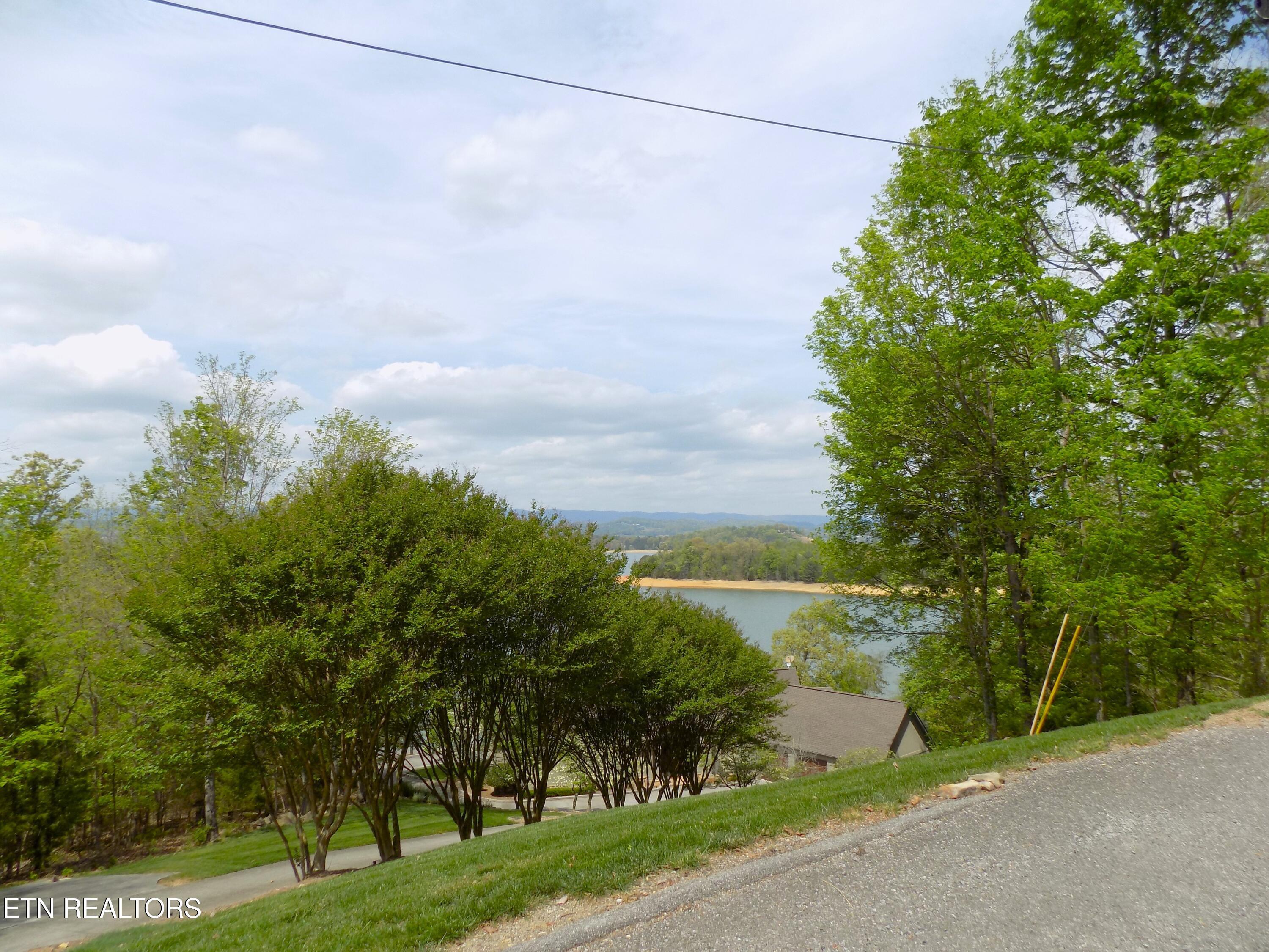 Image 4: Road Frontage