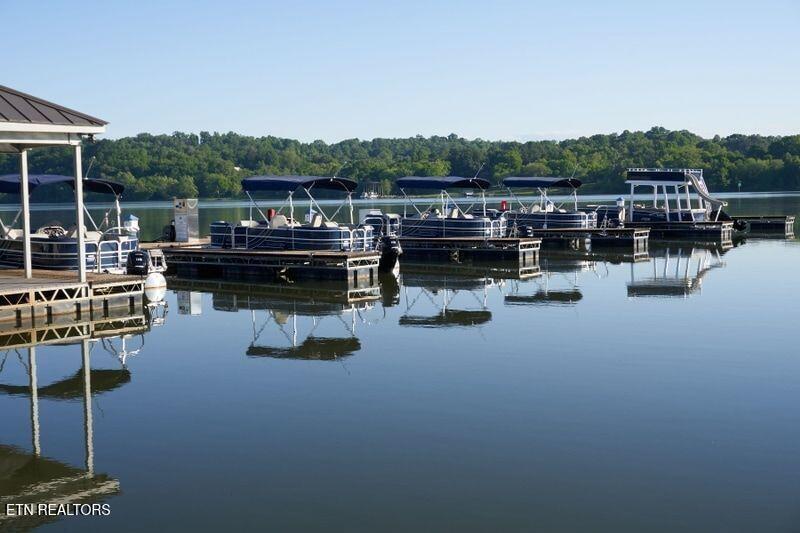 Image 3: boats