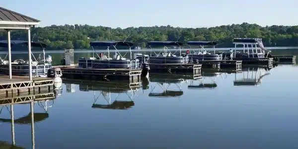 Image 3: boats