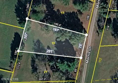 Image 1: Lot 19