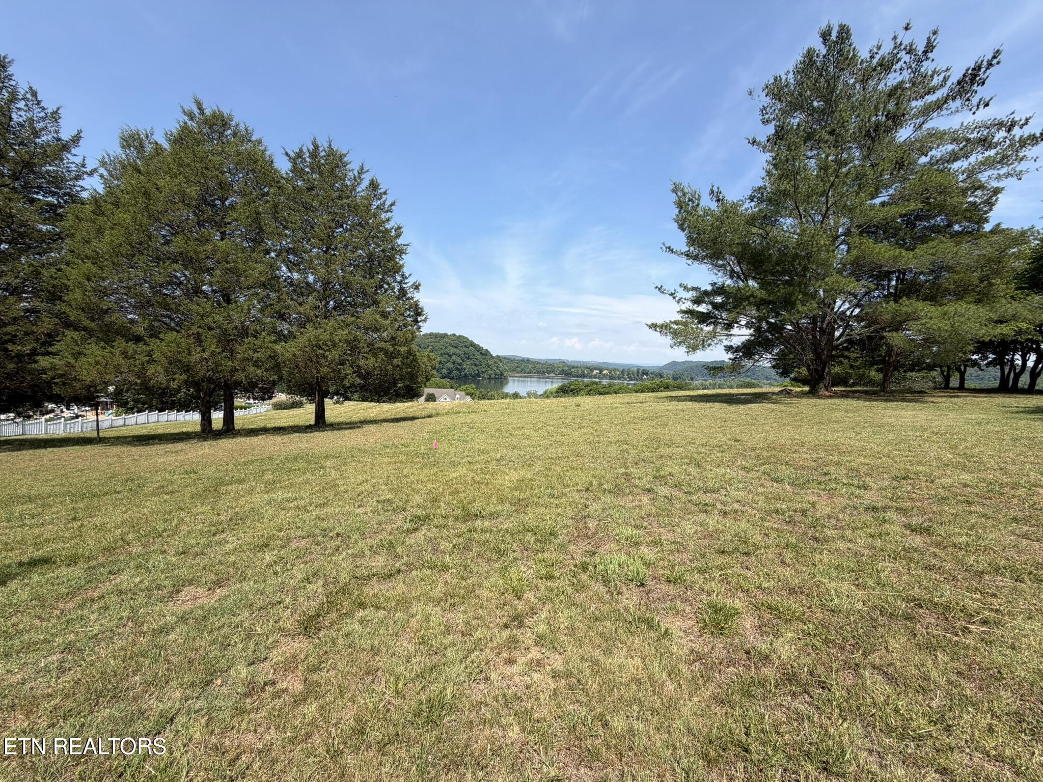 Image 3: Lot 19
