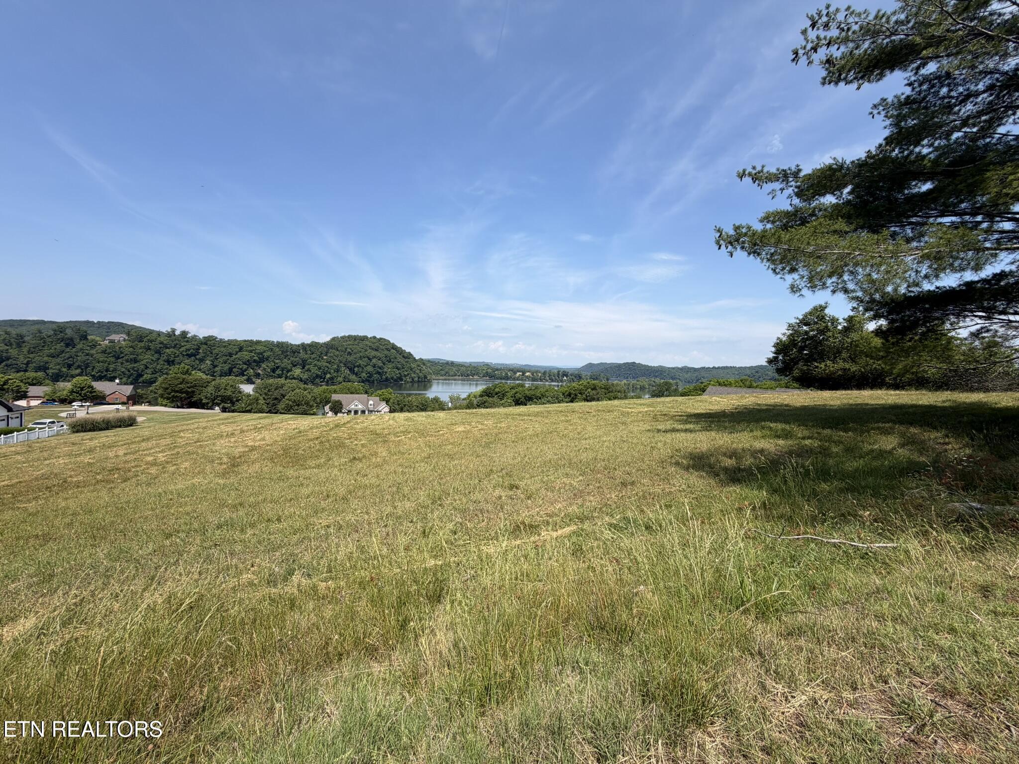 Image 4: Lot 19