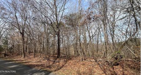Mountain View Lane, Lot #1101