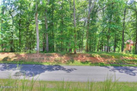 Lot 55 E Shore Drive