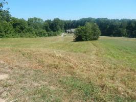 Pheasant View  195
