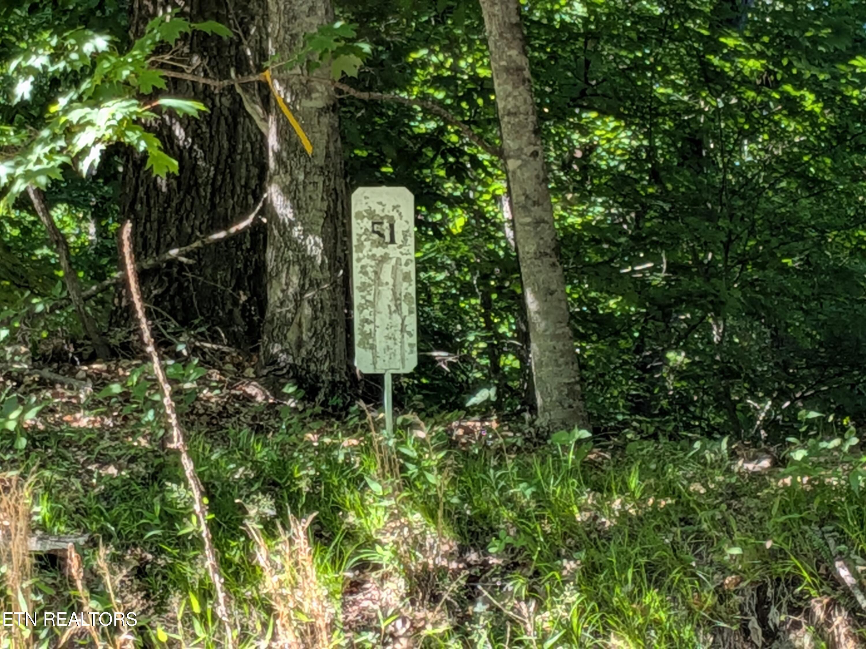 Image 1: PXL_20260508_193048064