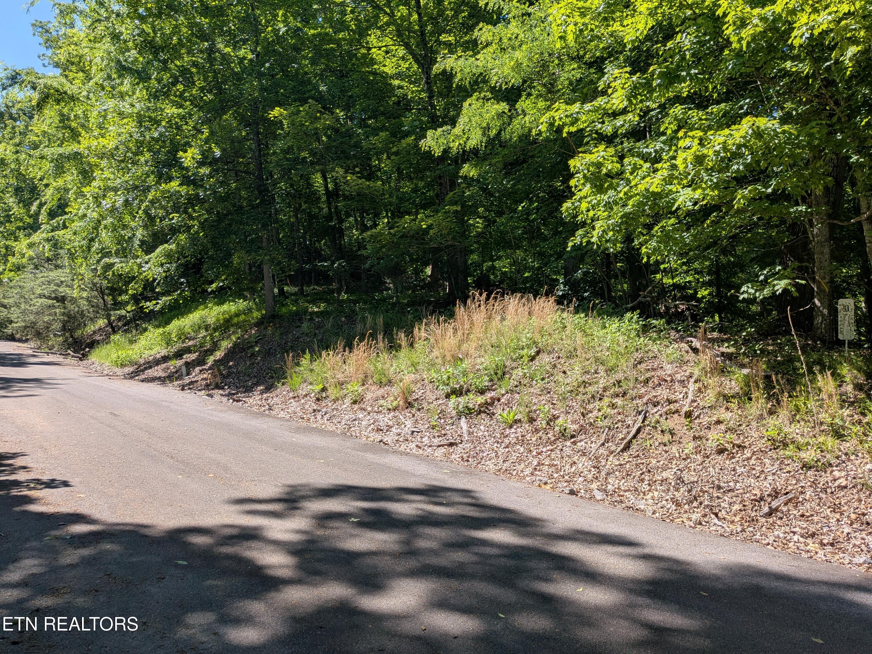 Image 3: PXL_20260508_193053011