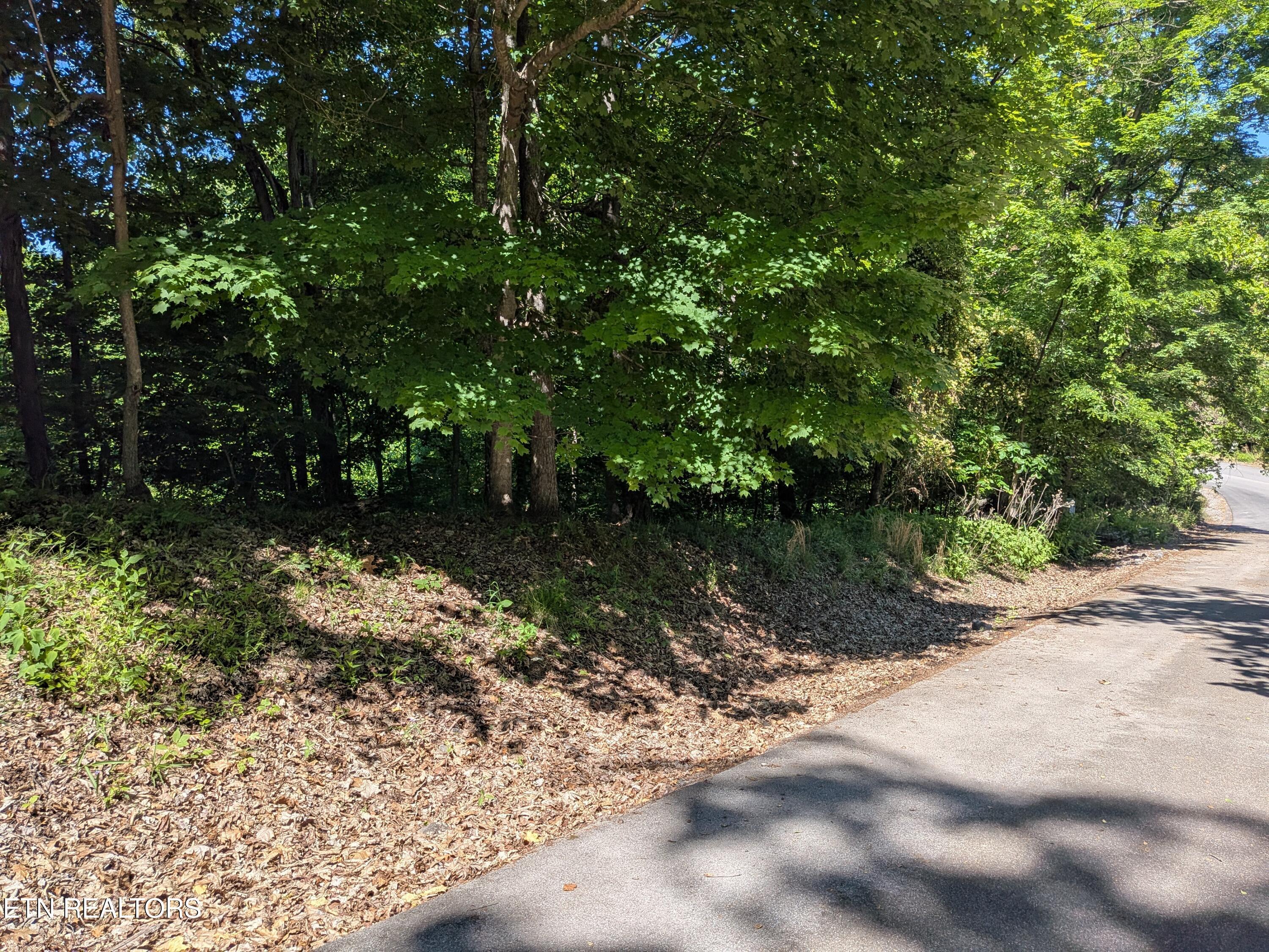 Image 4: PXL_20260508_193059621