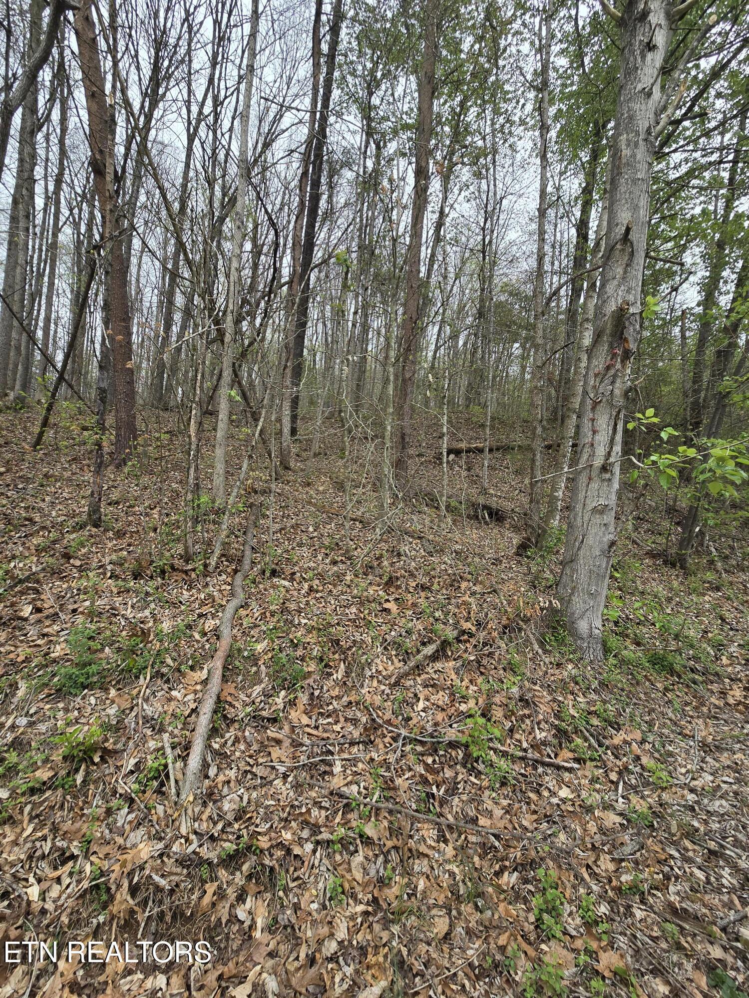 Image 4: 20250407_144230
