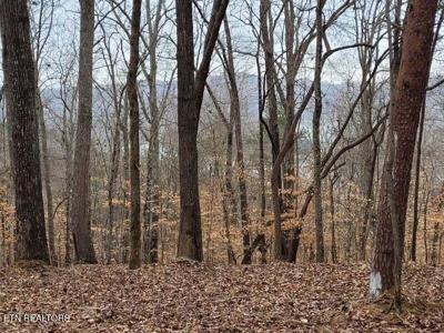 Lot 146 & 147 Lakeview Drive