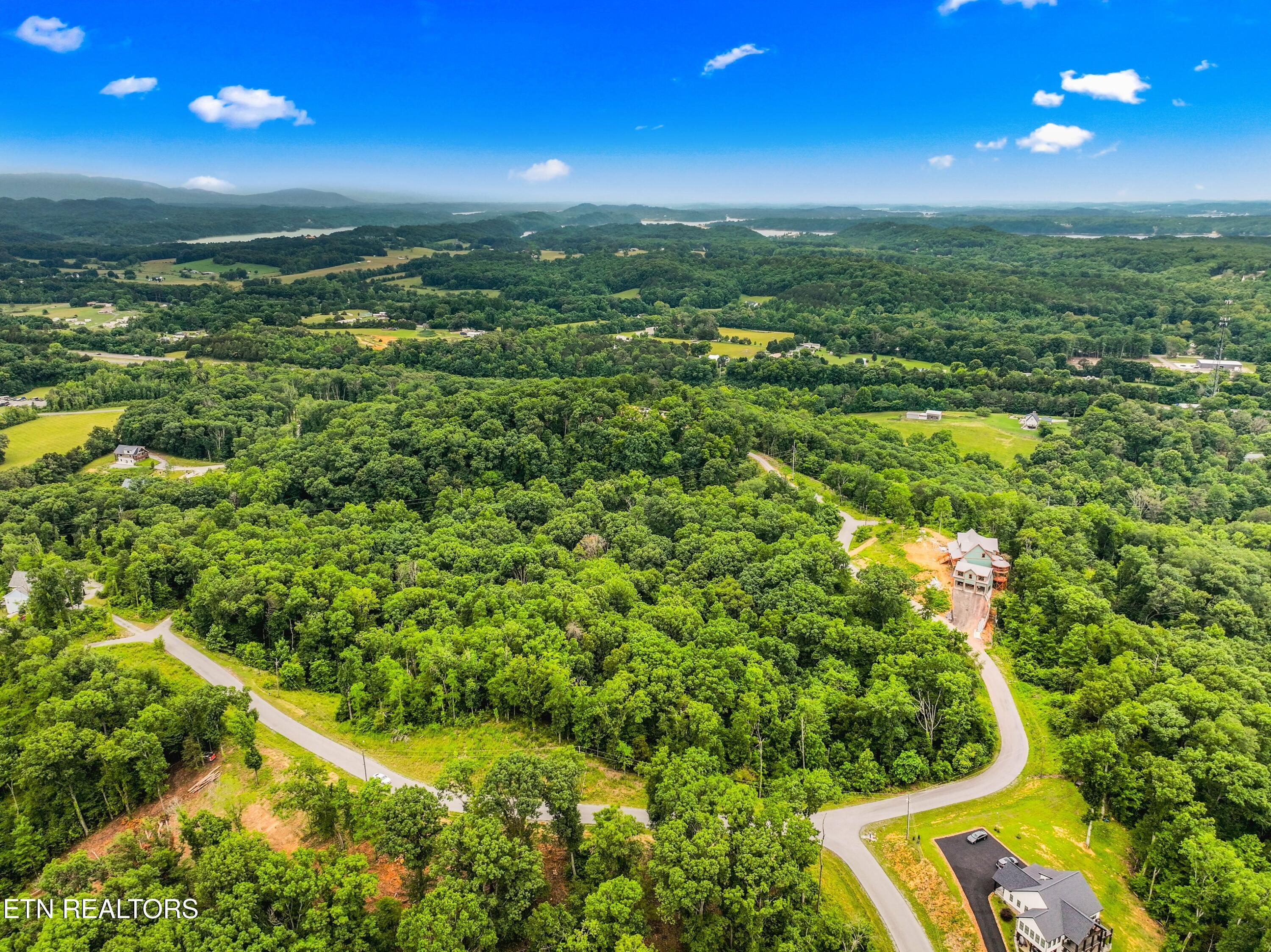 Image 4: 007-RidgelineTrail-Dandridge-TN-37725-SM