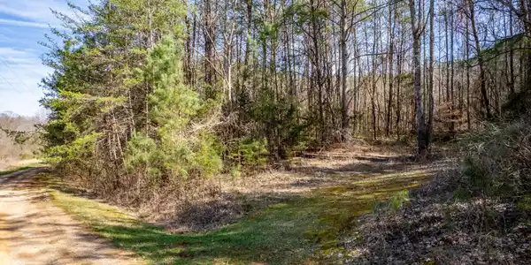 Welch Road LOT 4A