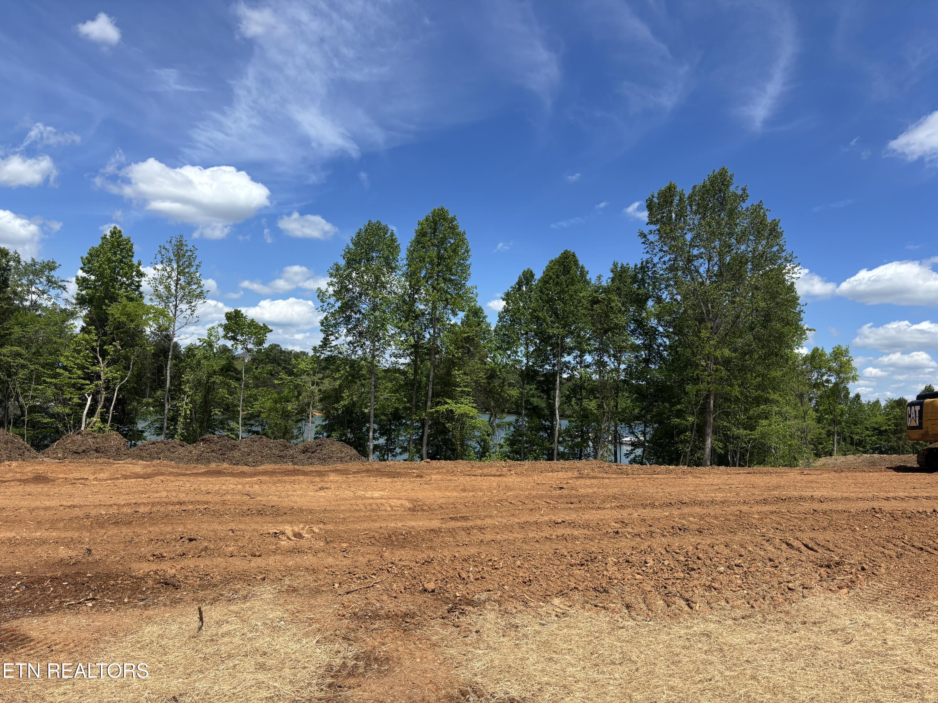 Image 3: Lot 20 - 1