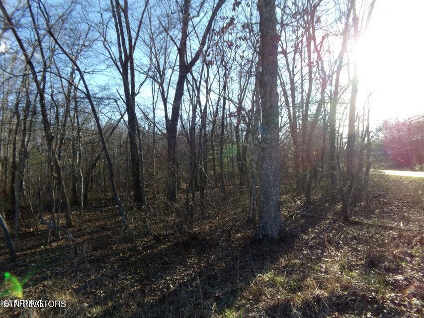 Image 2: 2405 Whitehorse