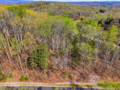Lot 142 E Shore Drive