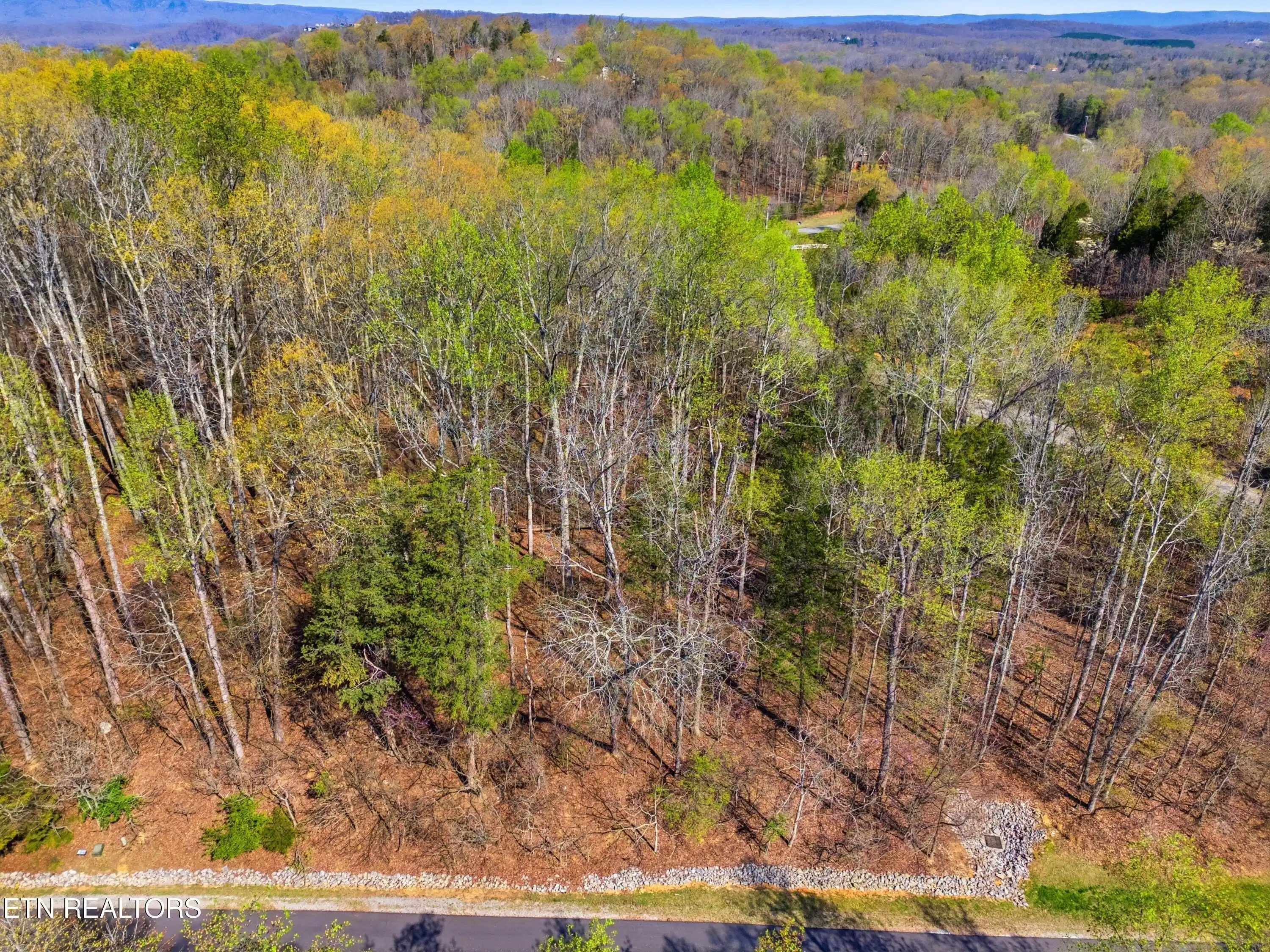 Image 1: DJI_20260325232941_0784_D