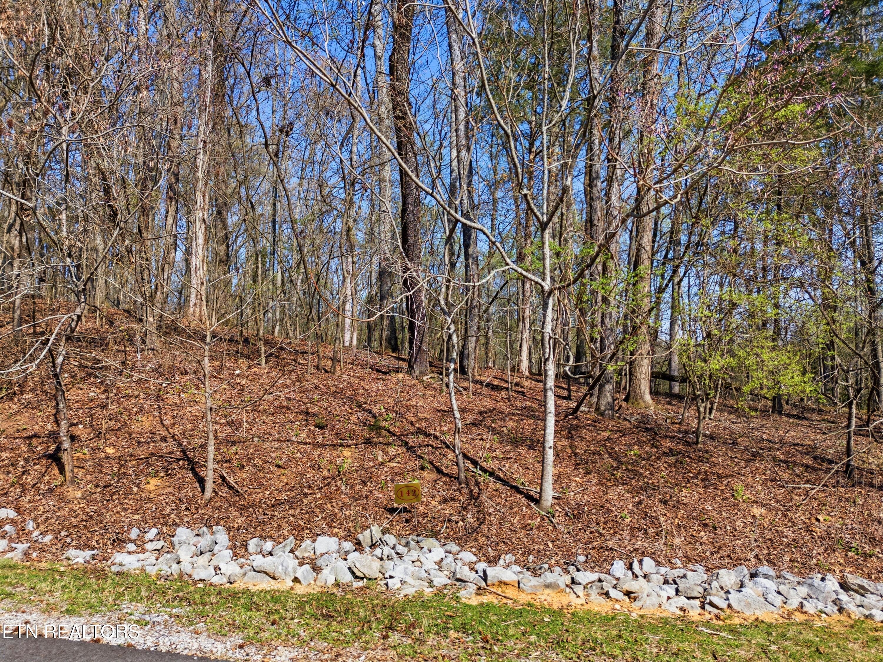 Image 3: DJI_20260325233150_0809_D