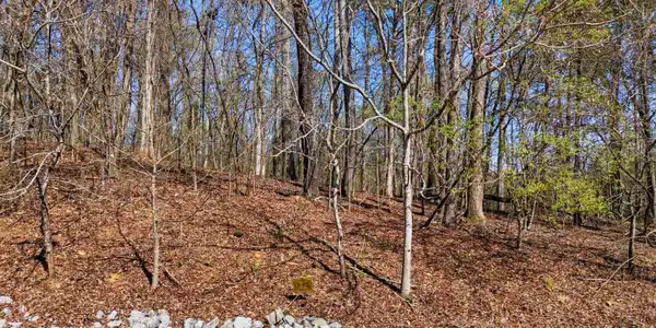 Image 3: DJI_20260325233150_0809_D