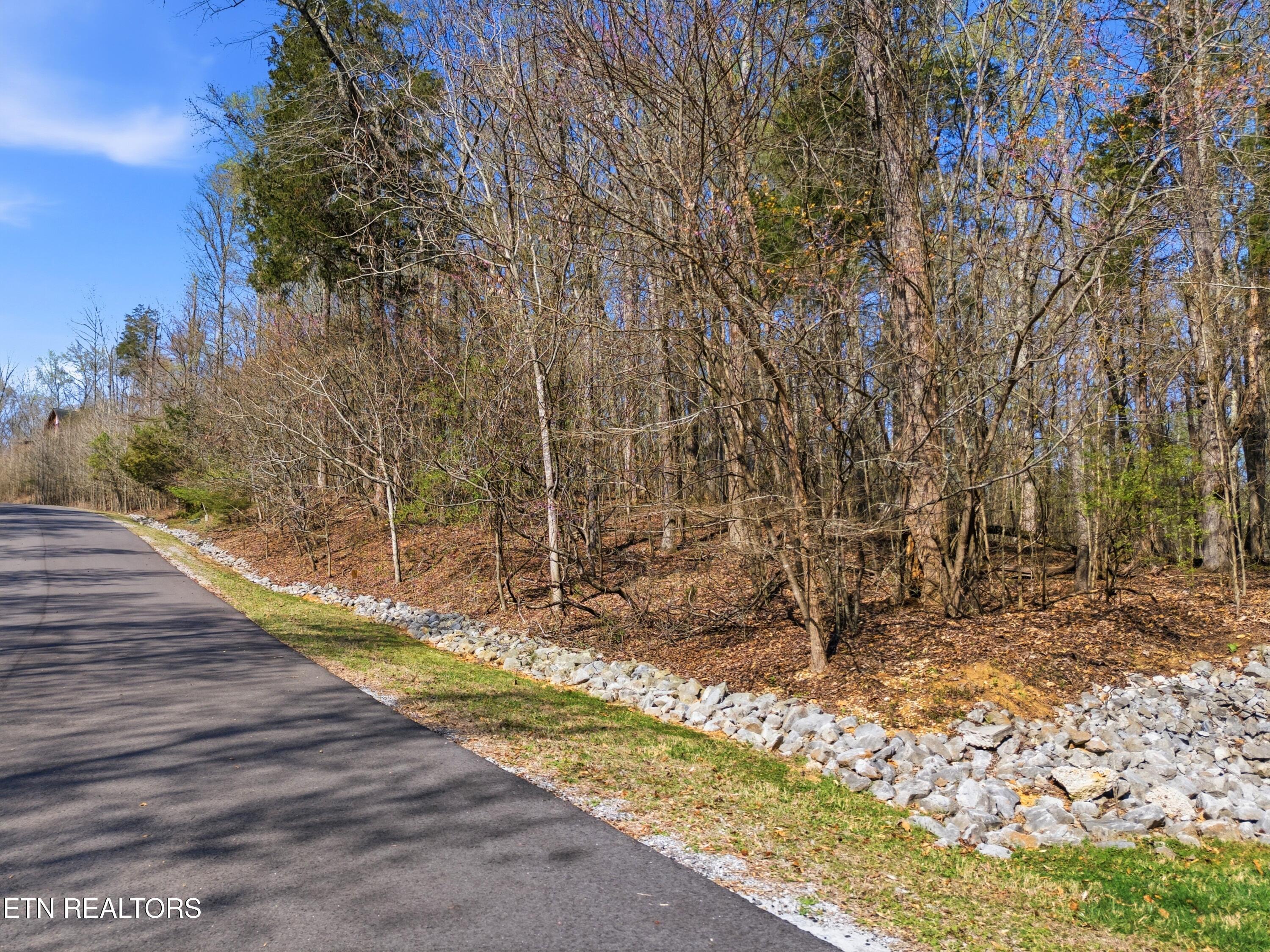 Image 4: DJI_20260325233208_0814_D