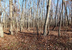 107 Folkstone Rd