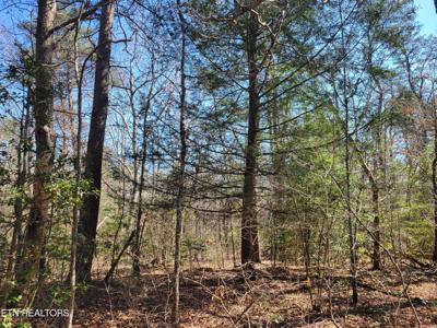 Cumberland Lakes Drive