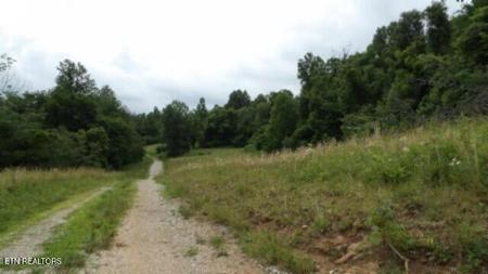 51.30ac Livingston Hwy