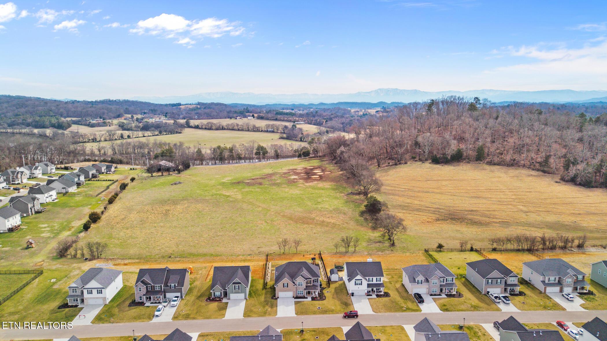 Image 4: dji_20260224122412_0874_d
