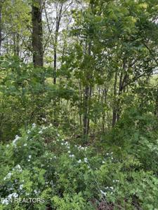 lot 168 Saddleridge Drive
