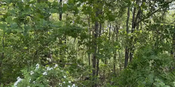 lot 168 Saddleridge Drive